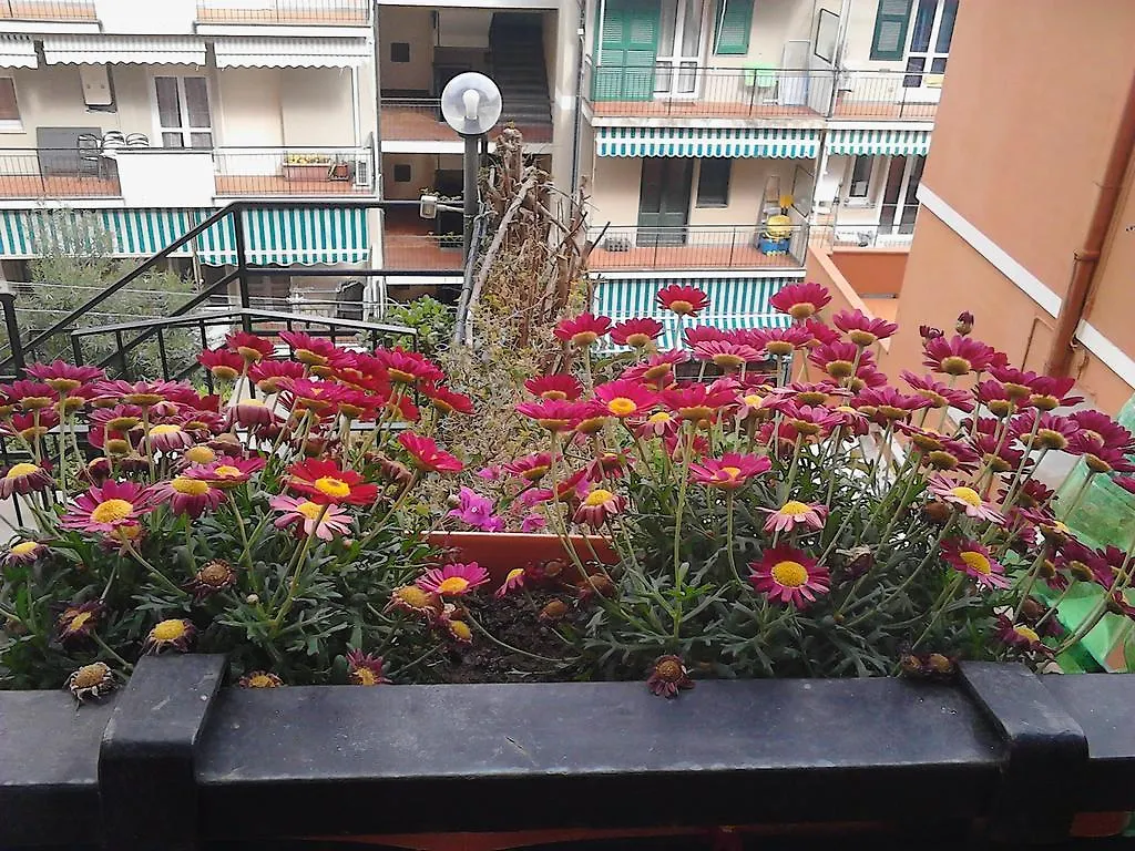 Appartamentino Nadia Monterosso al Mare Apartment